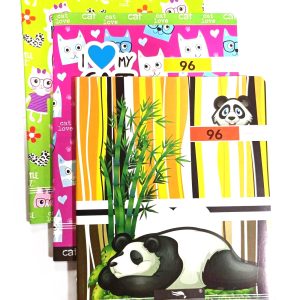 CAHIER SUPER 100PAGE96PAGE N°24 class 300x300