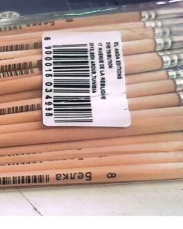 PINCEAU DE PEINTURE N°8 EN BOIS