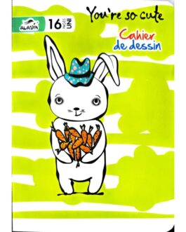 CAHIER DESSIN UNI PM ALADIN