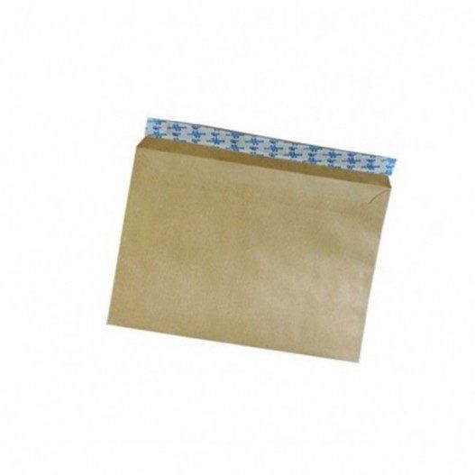 Paquet de 25 enveloppes kraft 16x22 90gr ribat