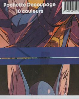 POCHETTE DECOUPGE GM MAT